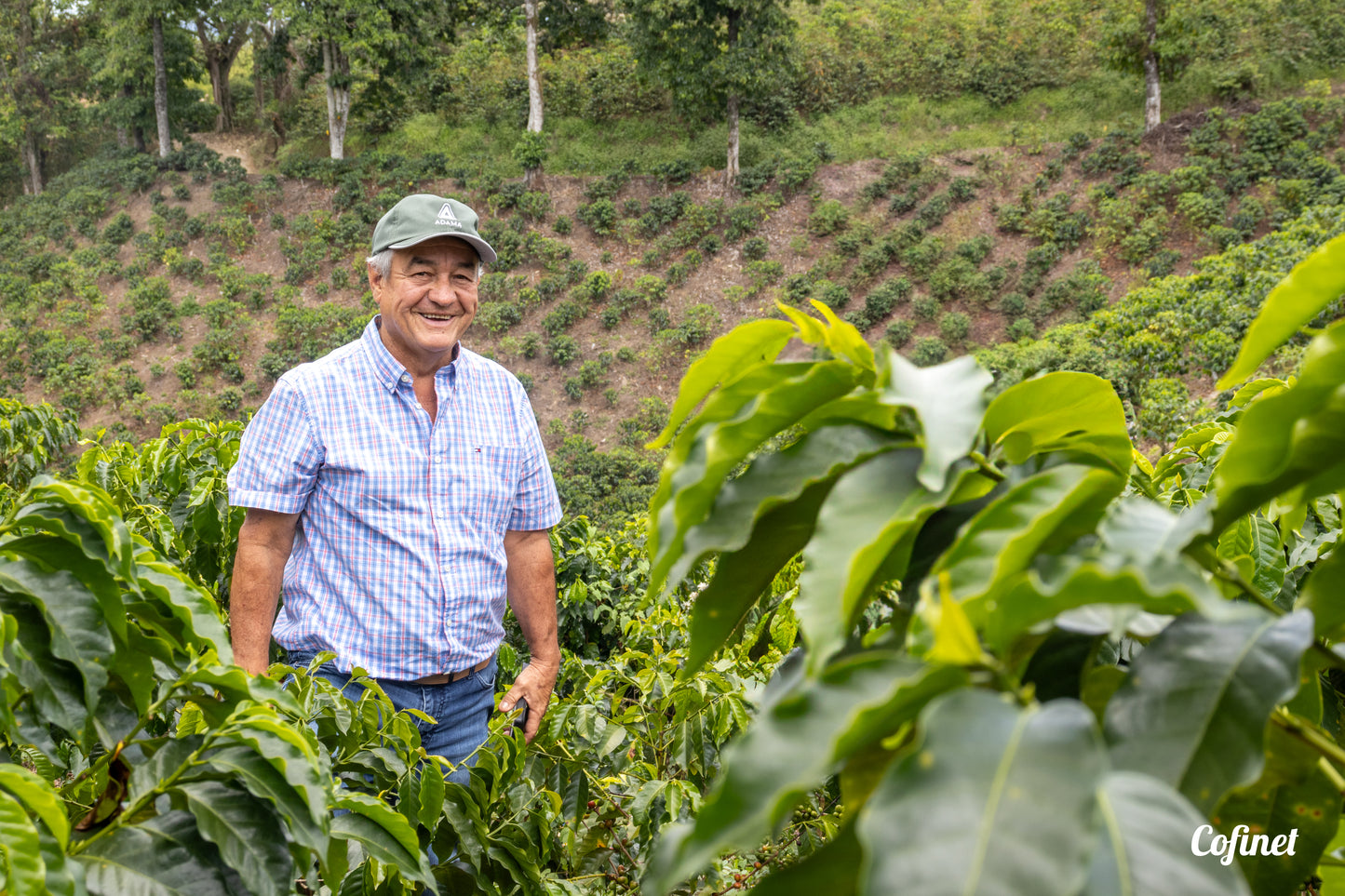 Colombia: Lychee Love