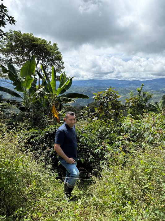 Colombia: El Rancho Pink Bourbon
