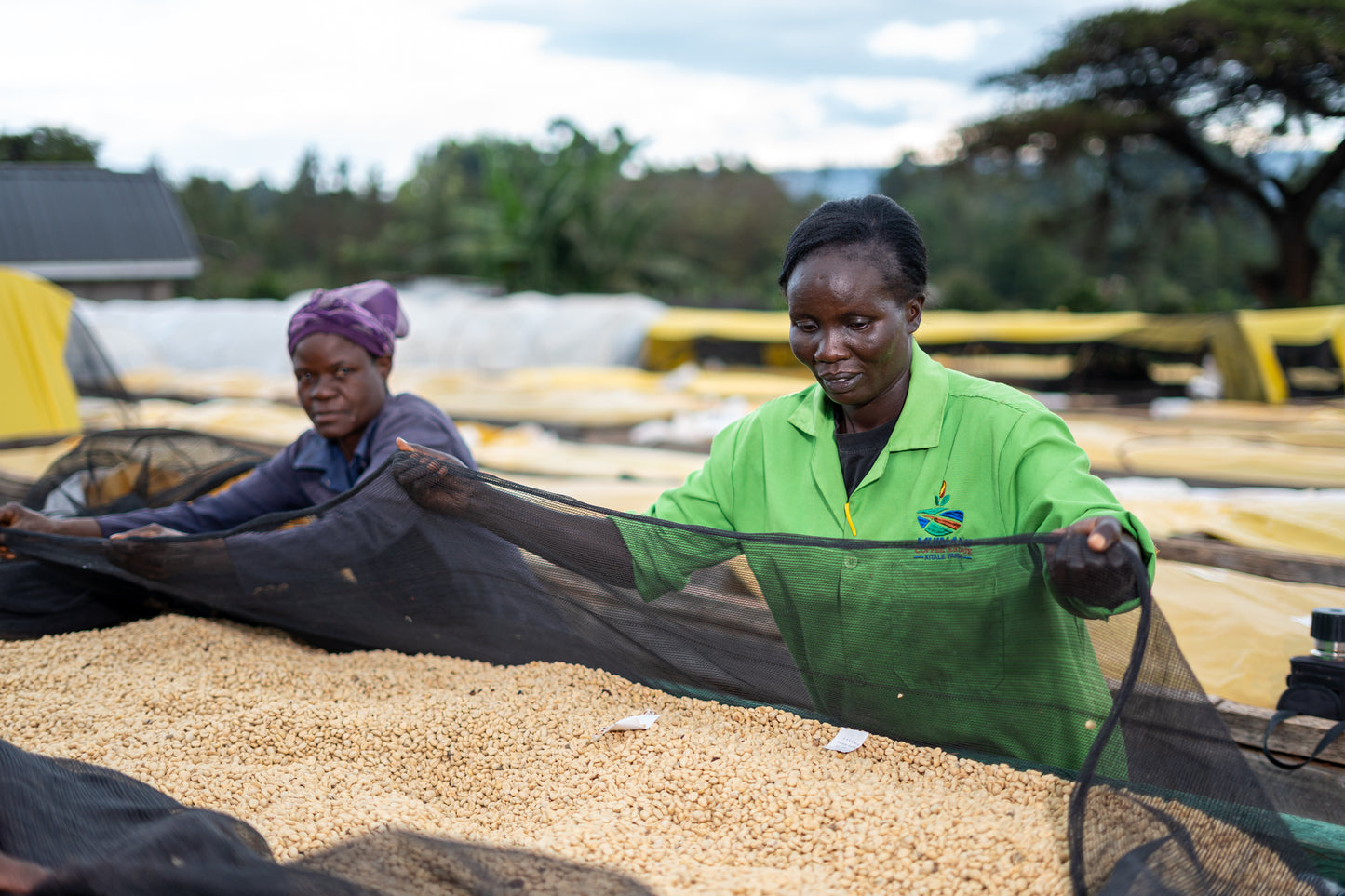 Kenya: Muinami Estate